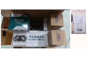 Поршневая группа WD615G.220